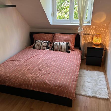 Studio Loft Apartment Pecs Luaran gambar
