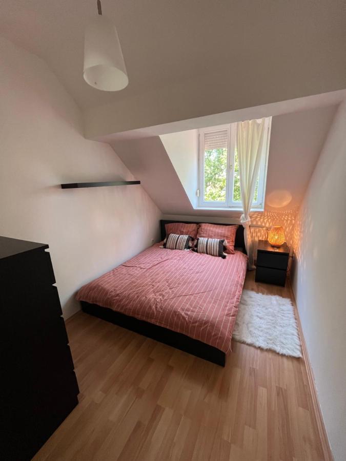 Studio Loft Apartment Pecs Luaran gambar
